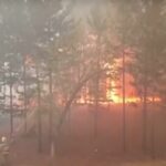 Росію охопили найбільші за останні сім років пожежі