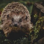 Гороскоп для всіх знаків зодіаку на 3 червня 2025 року