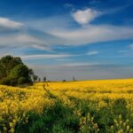 Гороскоп для всіх знаків зодіаку на 9 липня 2025 року