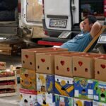Сезон заготівлі на зиму: чи подешевшають овочі та фрукти