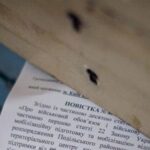 Уряд змінив порядок надсилання повісток поштою