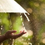 Дощі та місцями грози: погода на вихідні